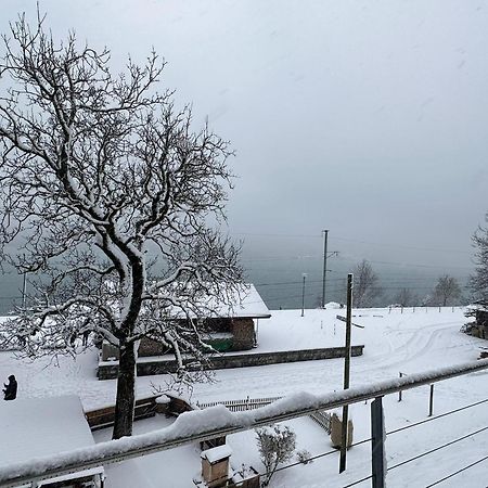 Lake View Residence Niederried bei Interlaken Bagian luar foto