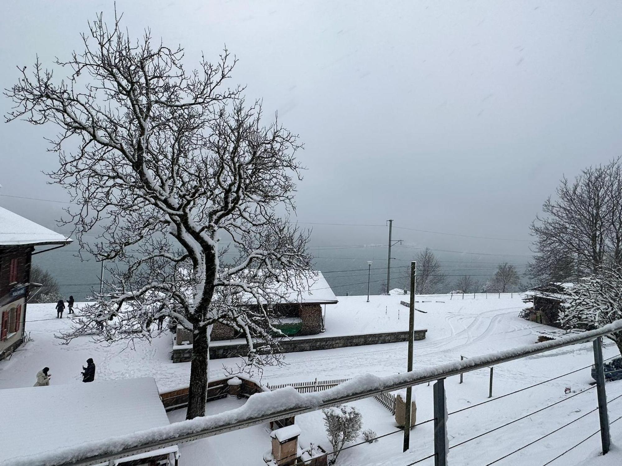 Lake View Residence Niederried bei Interlaken Bagian luar foto